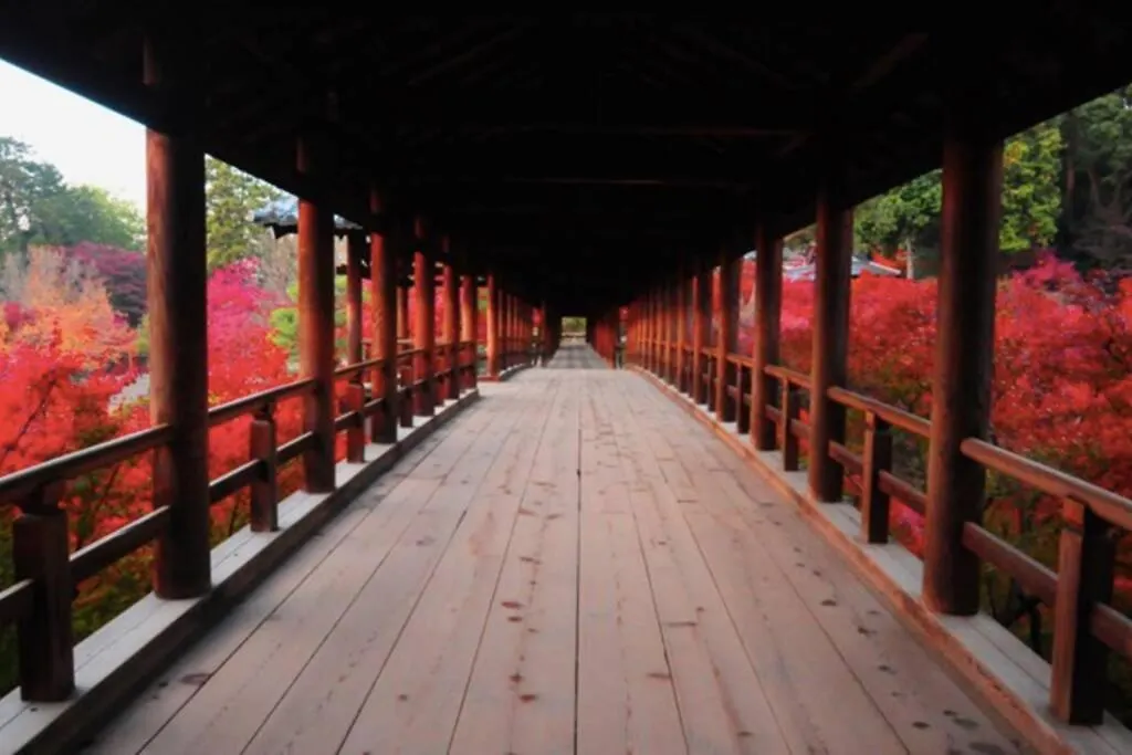 Ougi-An Villa Kyoto 0*,